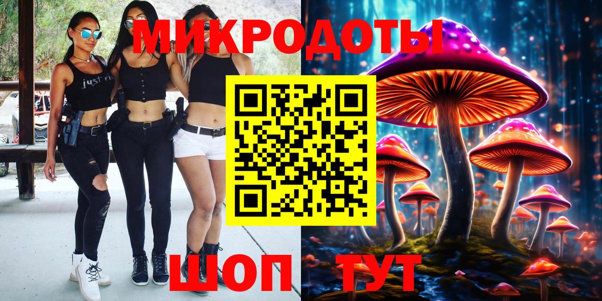 Псилоцибиновые грибы Psilocybine cubensis Россия